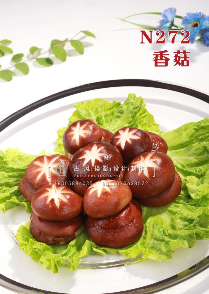 N272香菇 副本