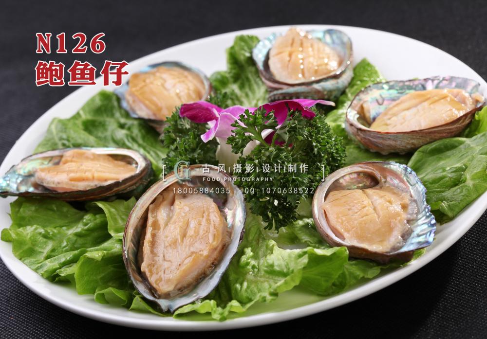 N126鲍鱼仔 副本
