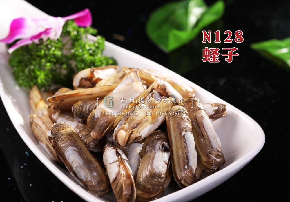 N128蛏子 副本