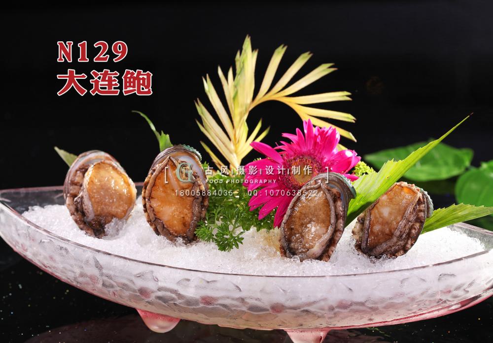 N129大连鲍 副本