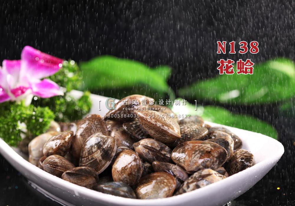N138花蛤 副本