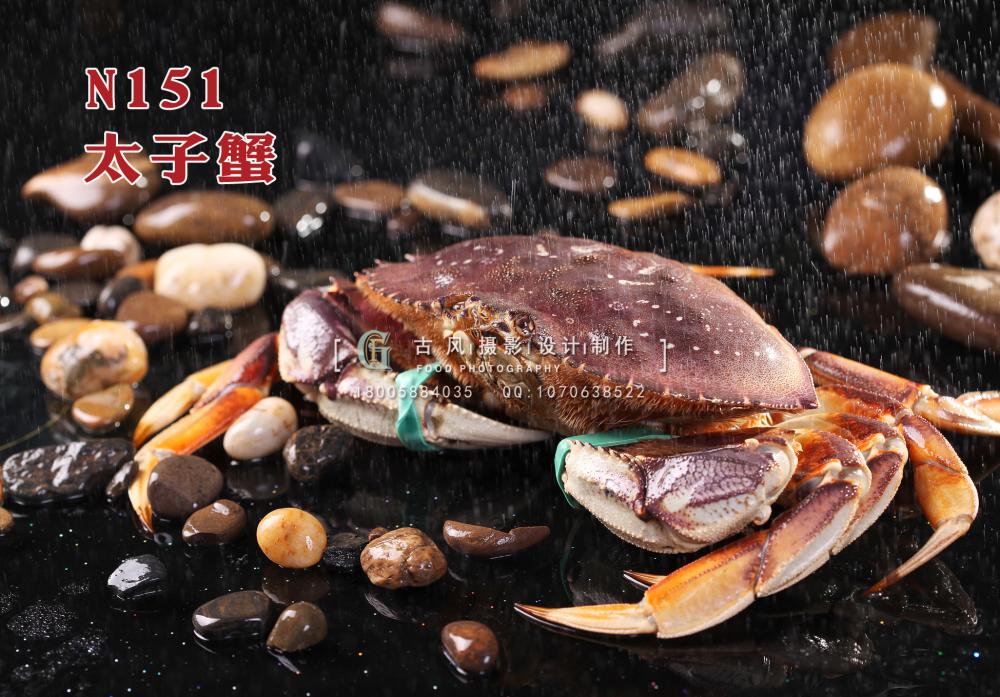 N151太子蟹 副本