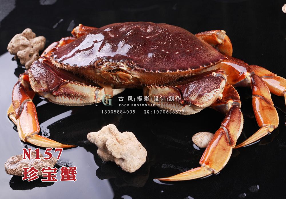 N157珍宝蟹 副本