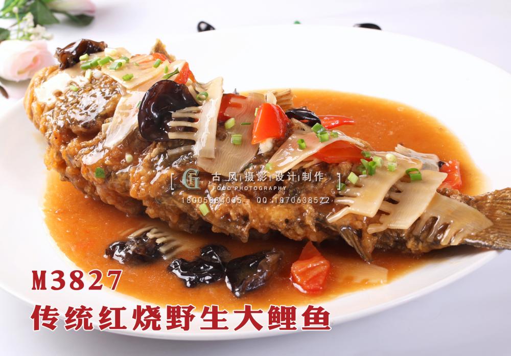M3827传统红烧野生大鲤鱼 副本