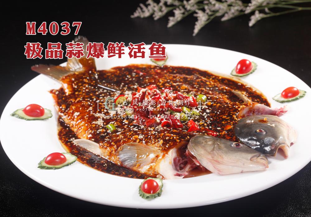 M4037极品蒜爆鲜活鱼 副本