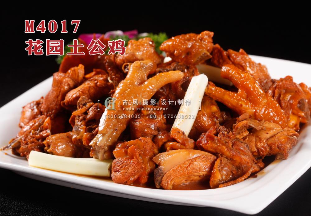 M4017花园土公鸡 副本