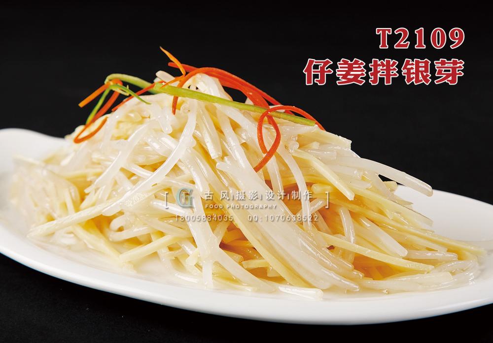 T2109仔姜拌銀芽 副本