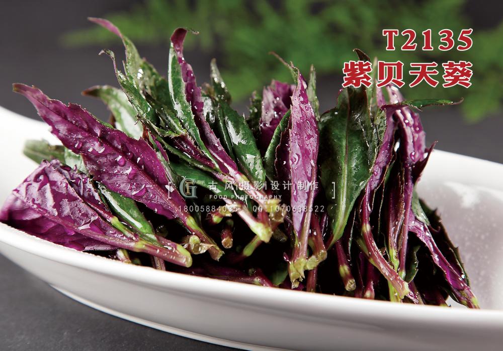 T2135紫貝天葵 副本