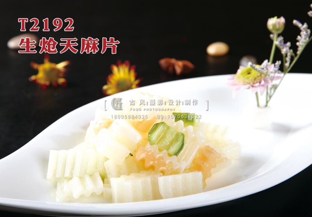 T2192生熗天麻片 副本
