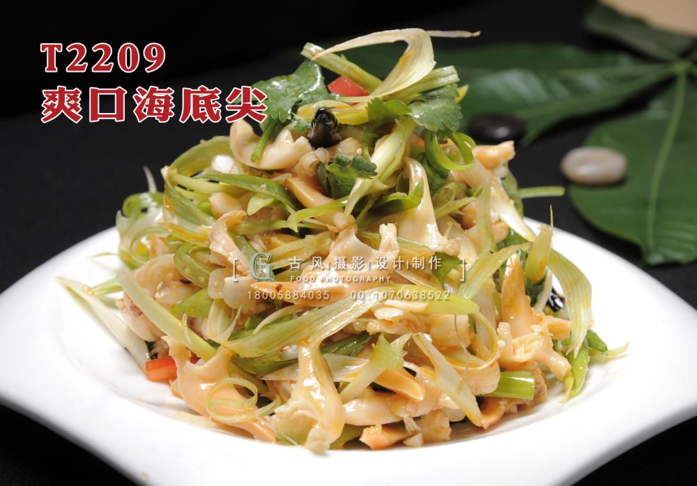 T2209爽口海底尖 副本