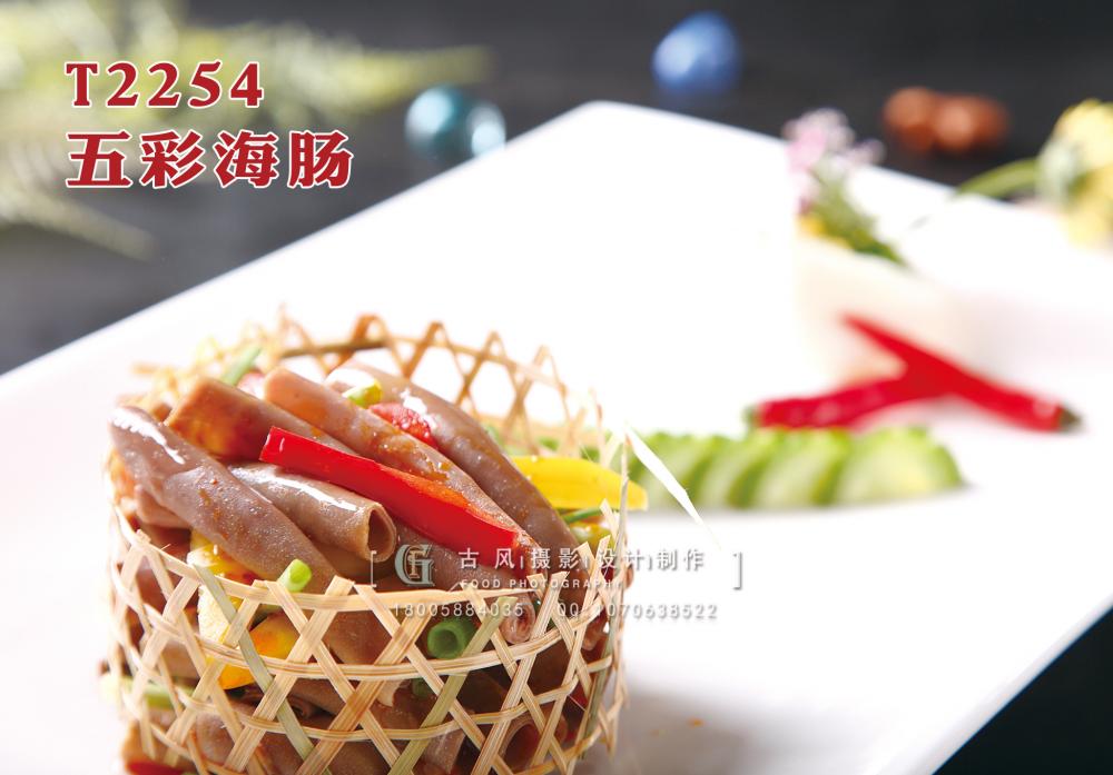 T2254五彩海肠 副本