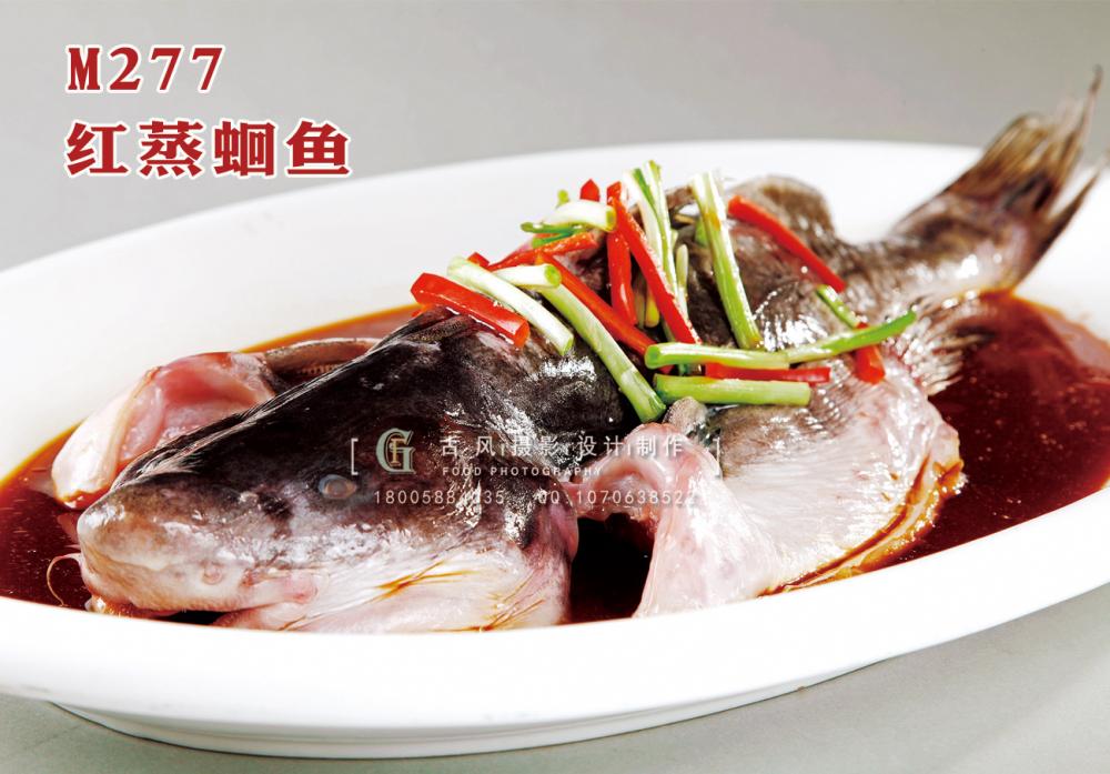 M277红蒸蛔鱼 副本