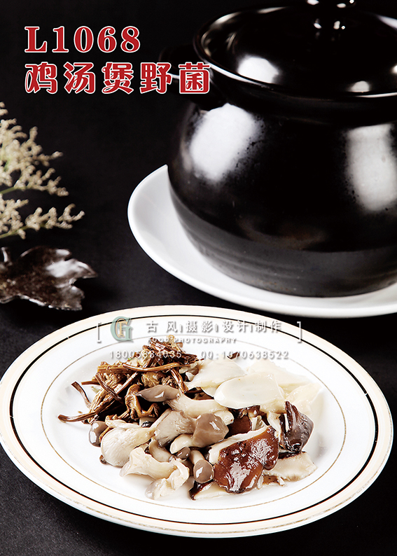 L1068鸡汤煲野菌 副本