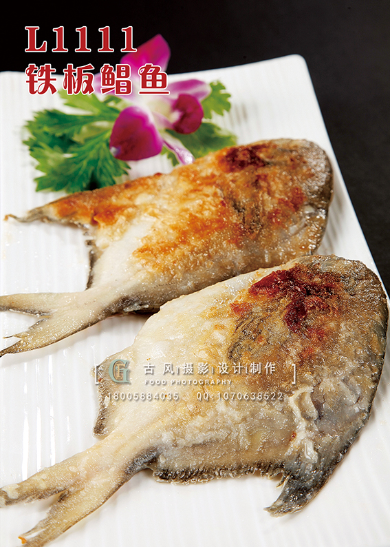 L1111铁板鲳鱼 副本