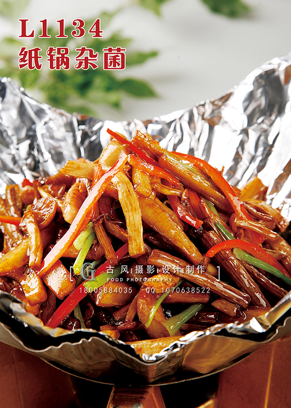 L1134纸锅杂菌 副本