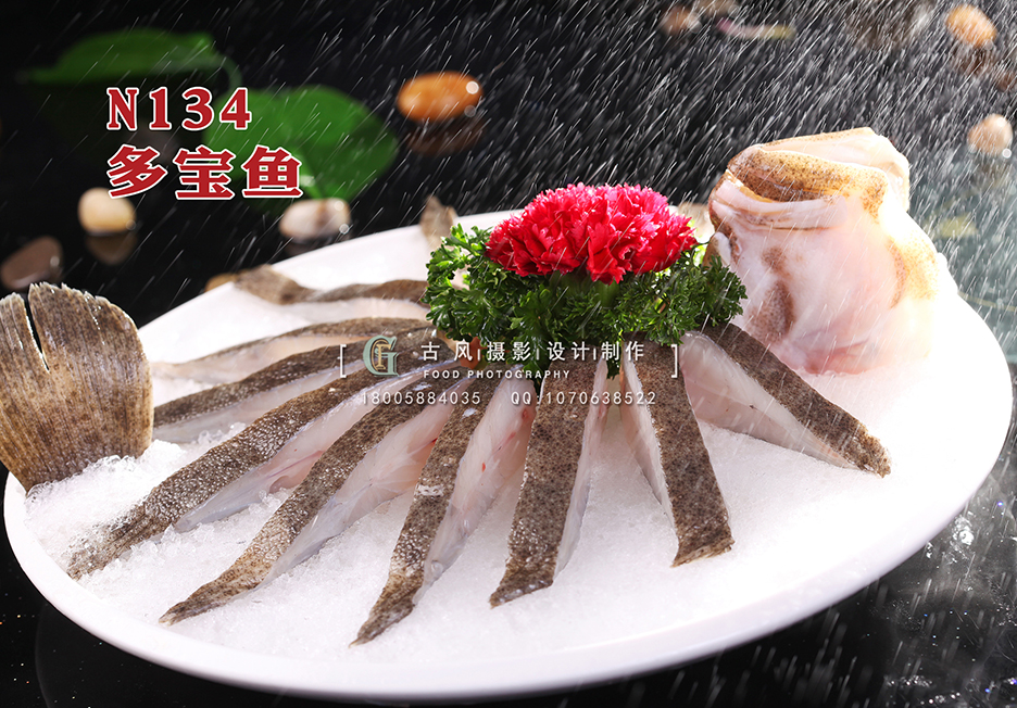 N134多宝鱼 副本