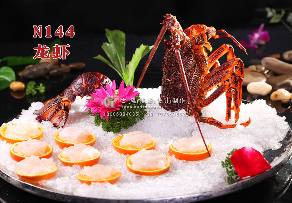 N144龙虾 副本