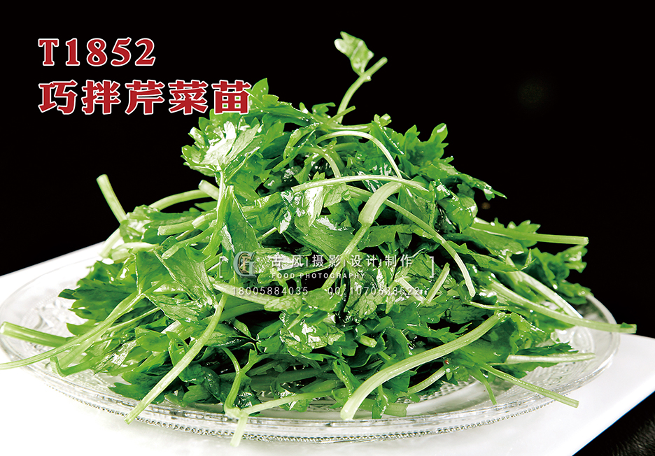 T1852巧拌芹菜苗 副本
