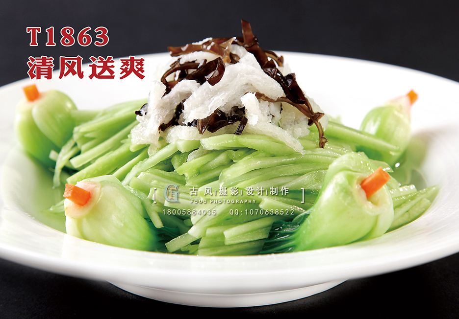 T1863清风送爽 副本
