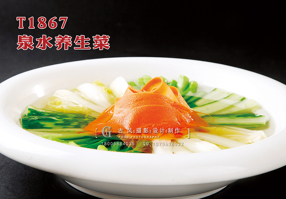 T1867泉水养生菜 副本