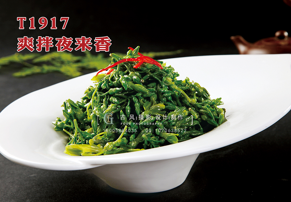 T1917爽拌夜来香 副本