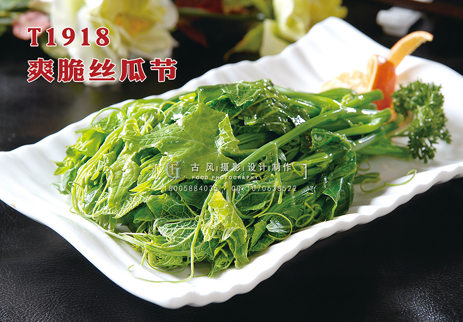 T1918爽脆丝瓜节 副本