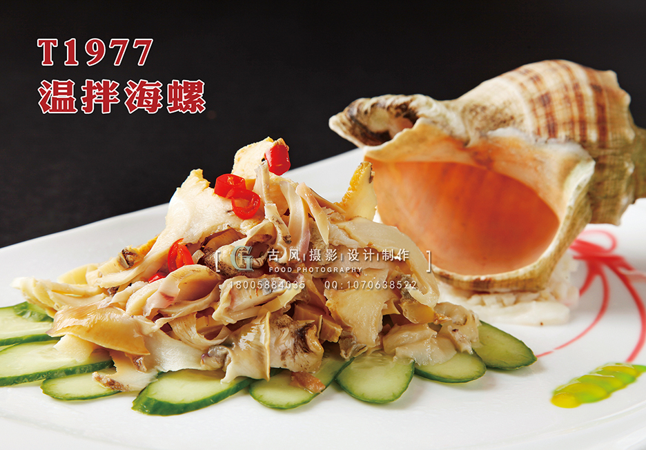 T1977温拌海螺 副本