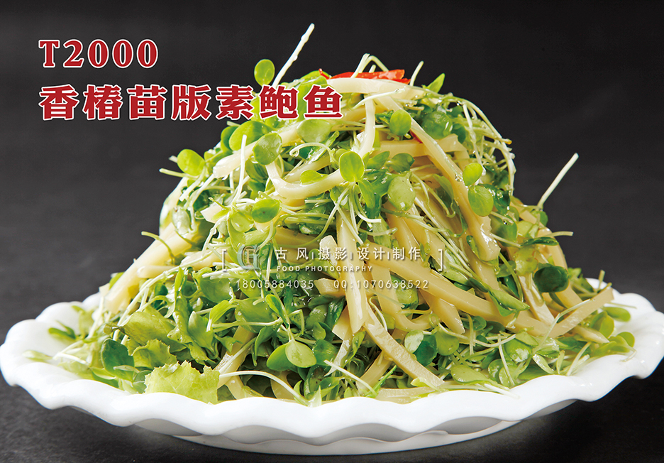 T2000香椿苗版素鲍鱼 副本