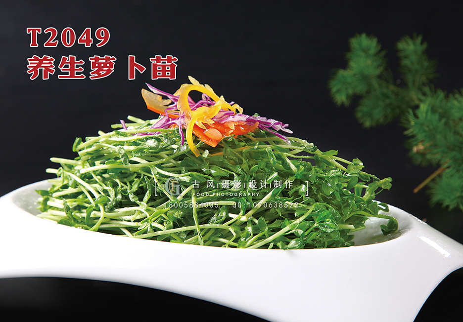 T2049养生萝卜苗 副本