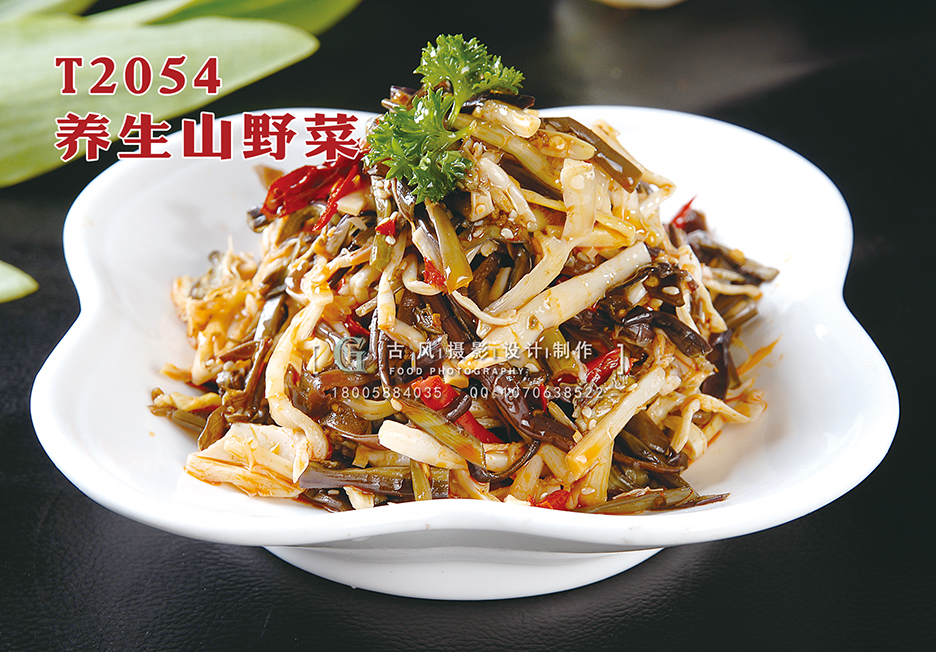 T2054养生山野菜 副本