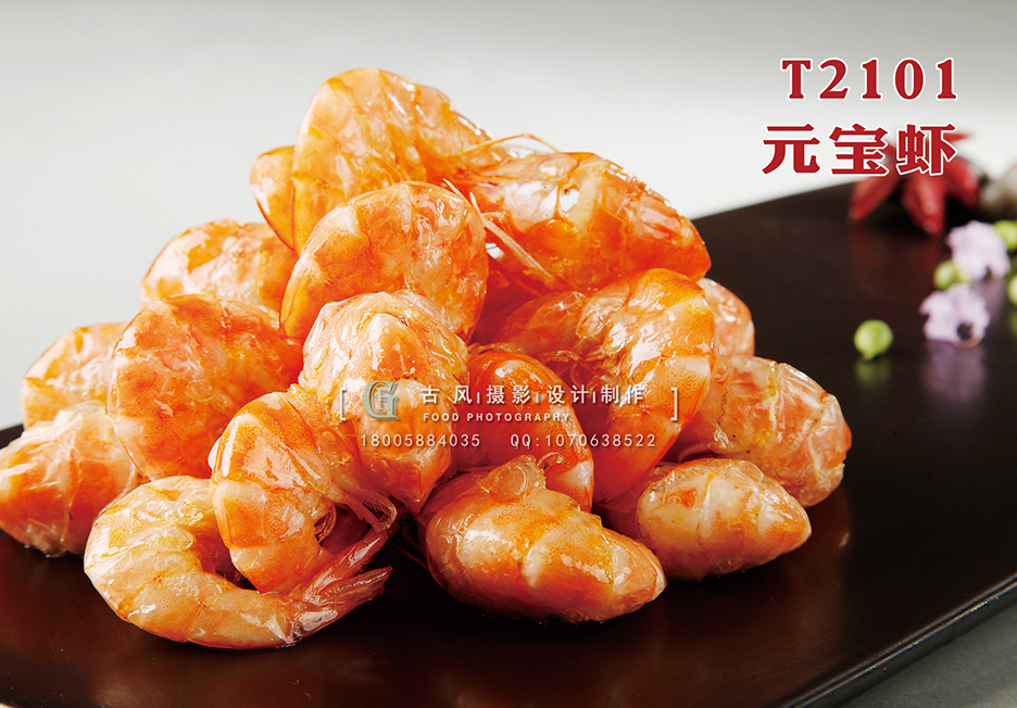 T2101元宝虾 副本
