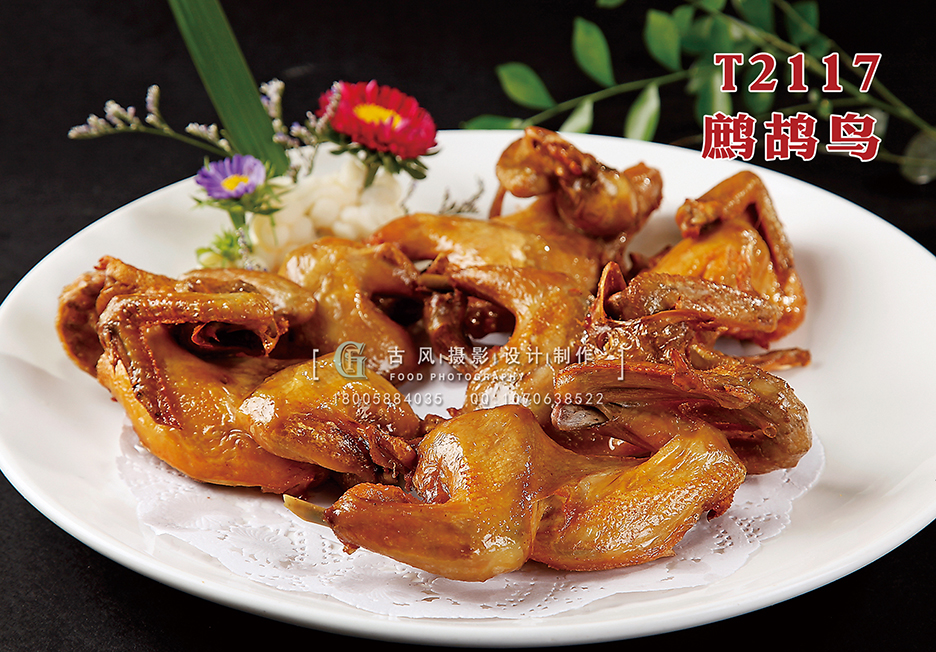 T2117鹧鸪鸟 副本
