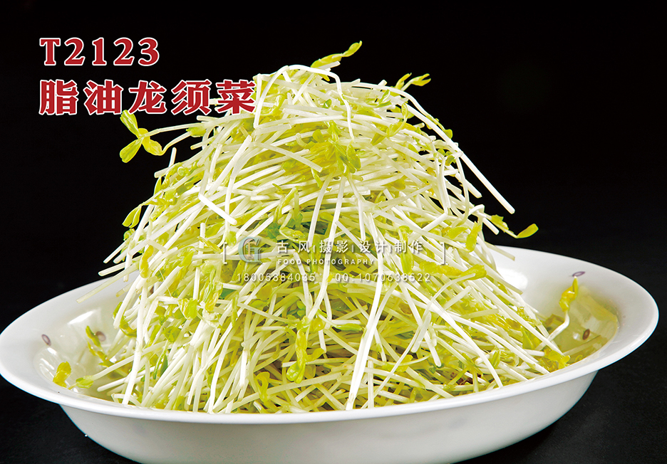 T2123脂油龙须菜 副本