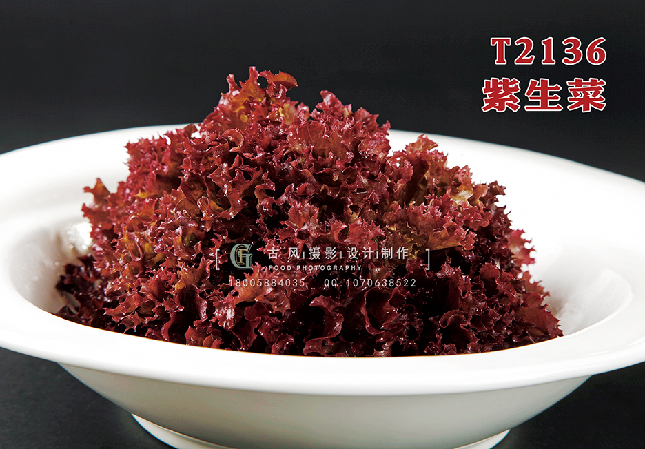 T2136紫生菜 副本