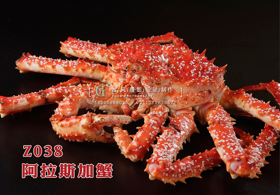 Z038阿拉斯加蟹 副本