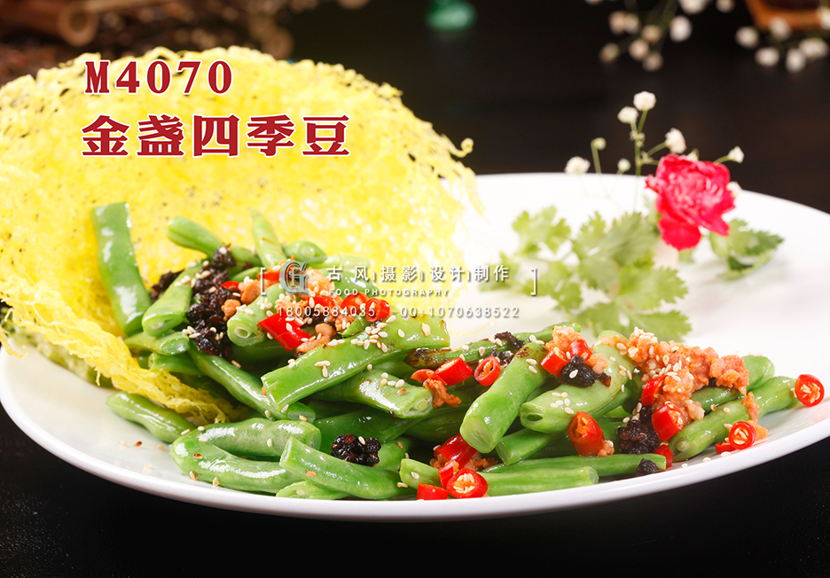 M4070金盏四季豆 副本
