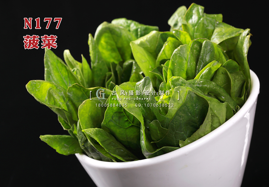 N177菠菜 副本