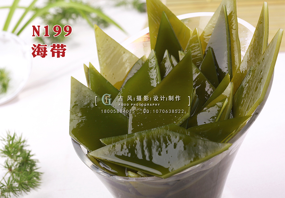 N199海带 副本