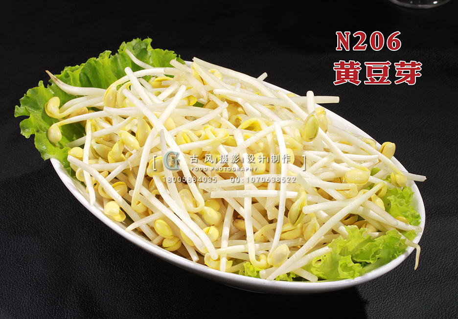 N206黄豆芽 副本