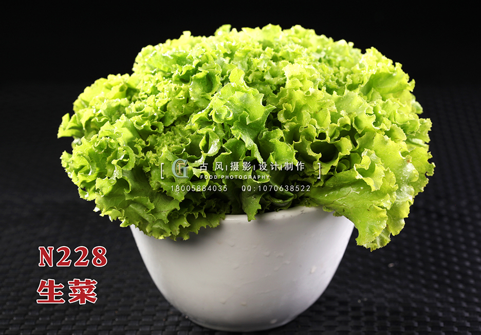 N228生菜 副本