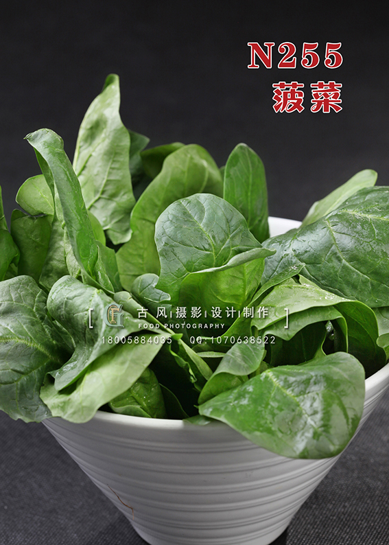 N255菠菜 副本