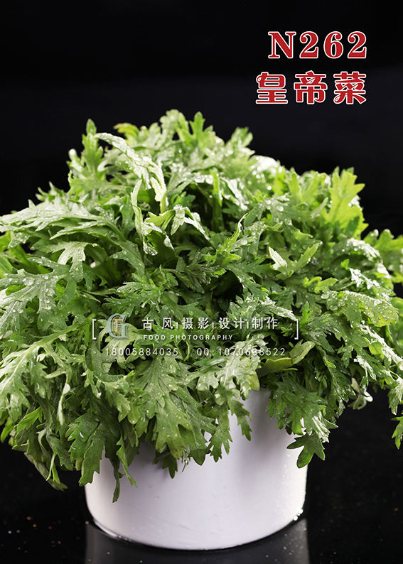 N262皇帝菜 副本