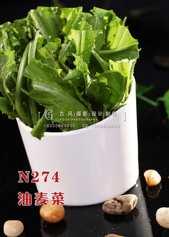 N274油麦菜 副本