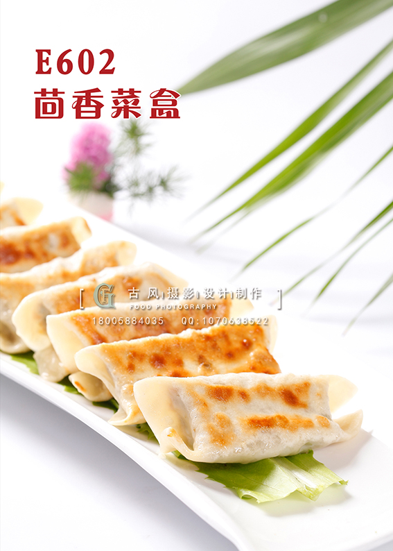 E602茴香菜盒 副本