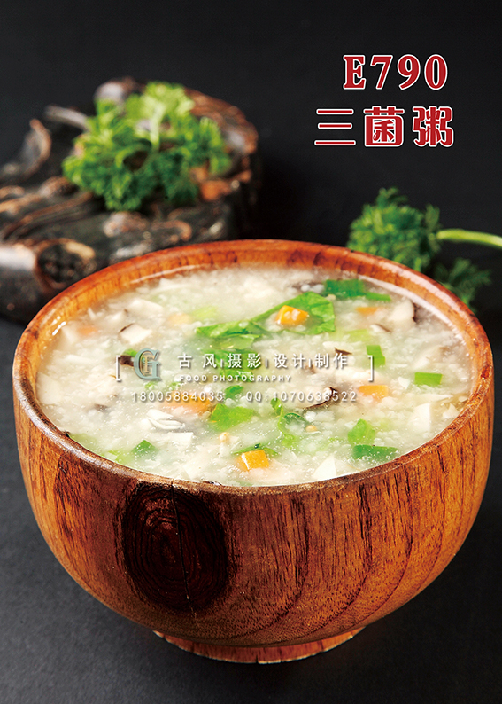 E790三菌粥 副本