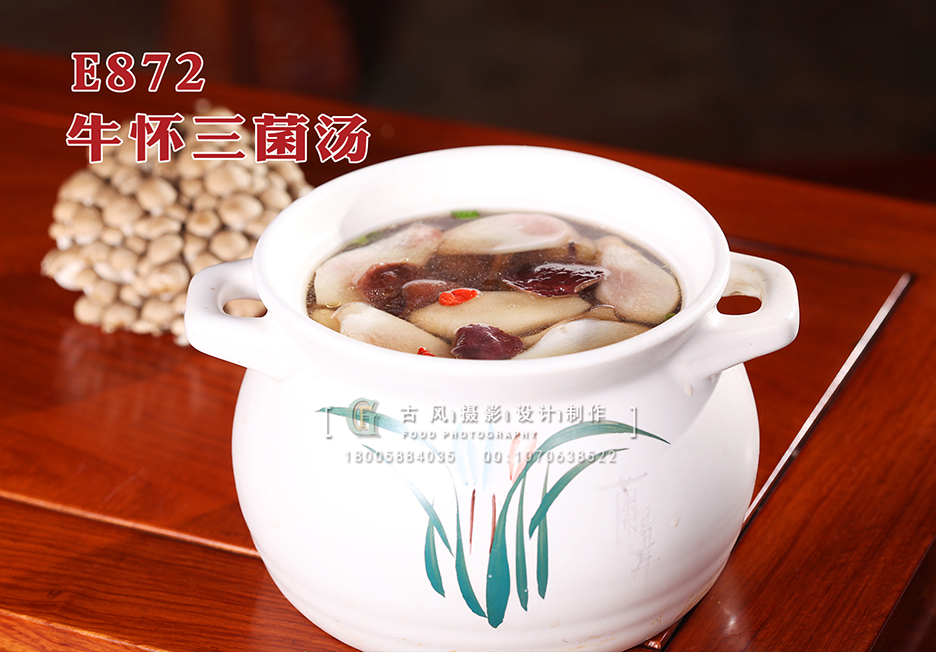 E872牛怀三菌汤 副本