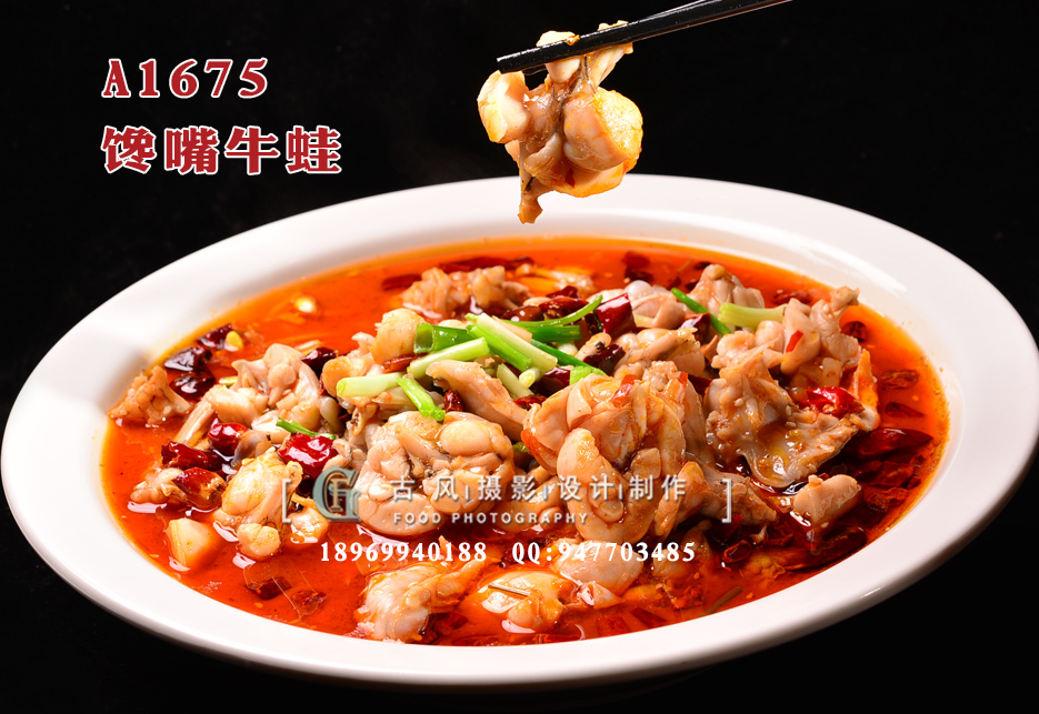A1675馋嘴牛蛙