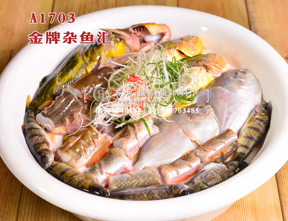 A1703金牌杂鱼汇