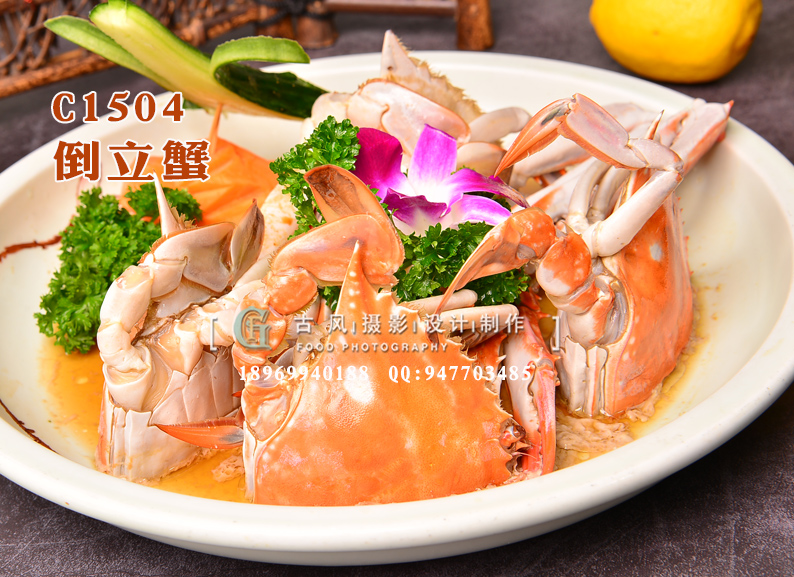 C1504倒立蟹-(2)