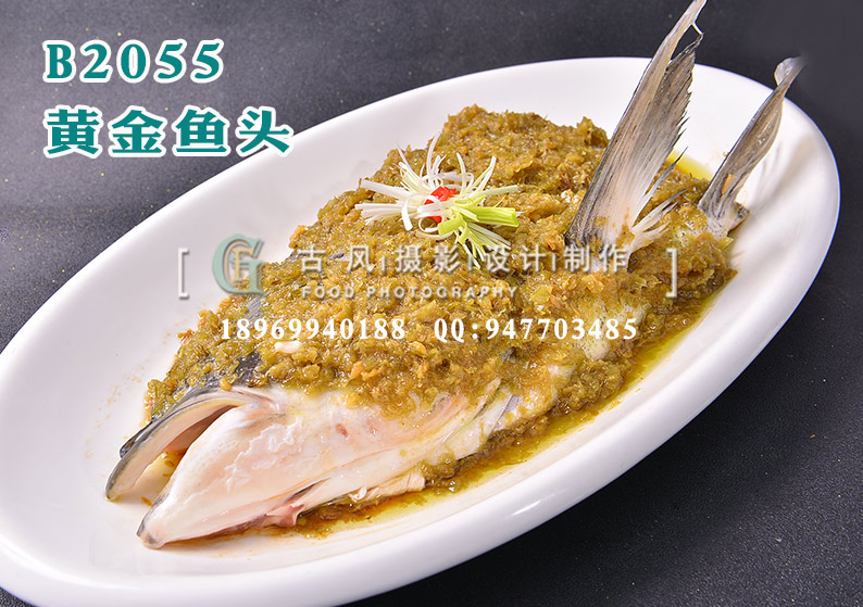 B2055黄金鱼头